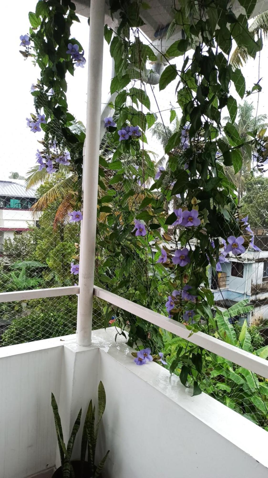 Bethesda Inn Kochi Buitenkant foto